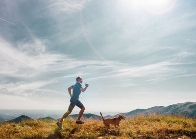 5 Ways To Burn More Calories On Your Dog Walk