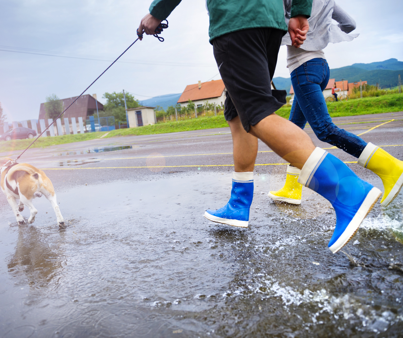 7 exercise ideas for you and your dog to enjoy over winter