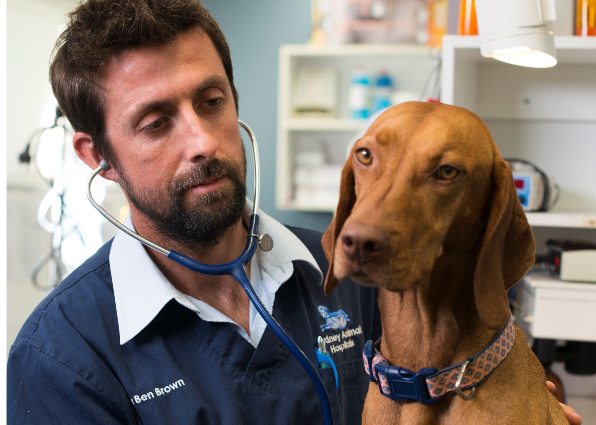 Dr Ben Brown