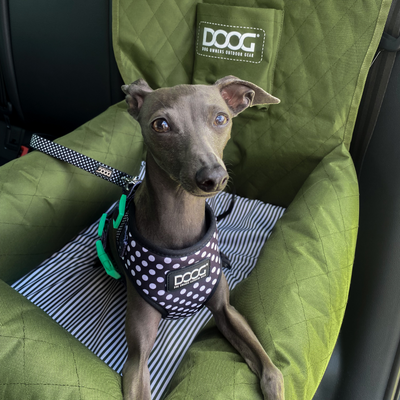 Car Seat -Olive Green  (Small to Medium Breeds)