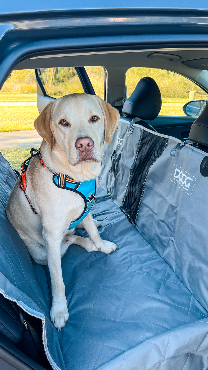 Car Seat Cover
