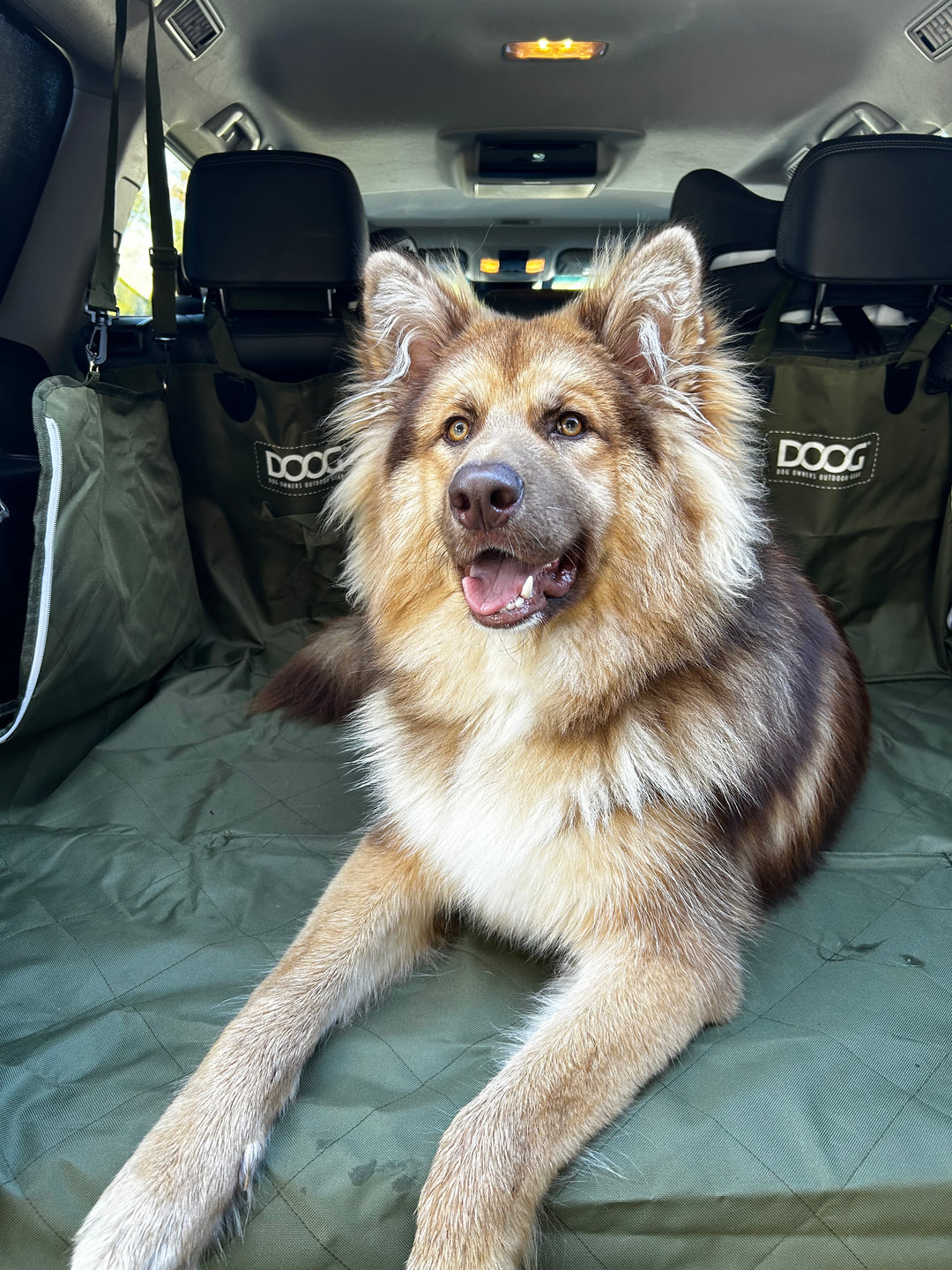 Car Seat Cover