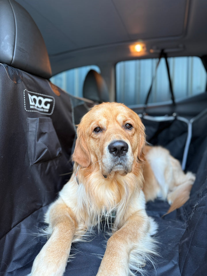Car Seat Cover
