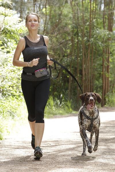 Train Your Dog To Run Long Distances