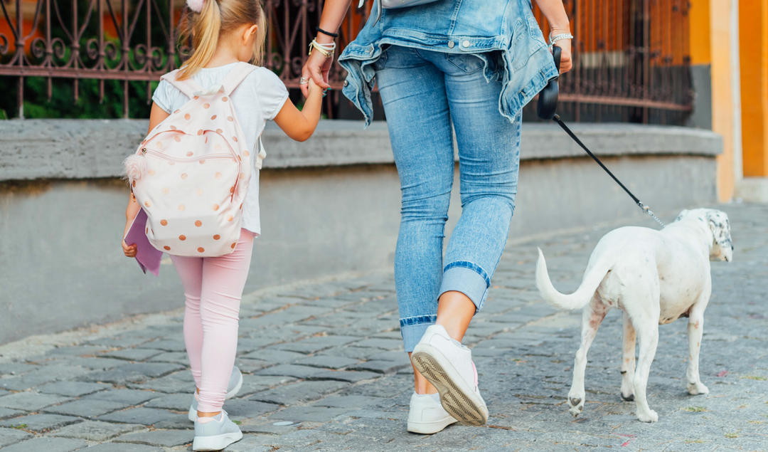 DOOG's Top 5 Dog Mums Of Instagram