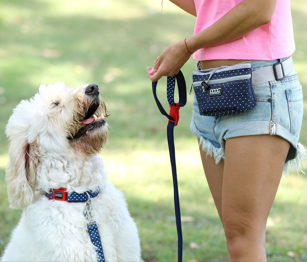 A Guide to Different Types of Dog Leashes