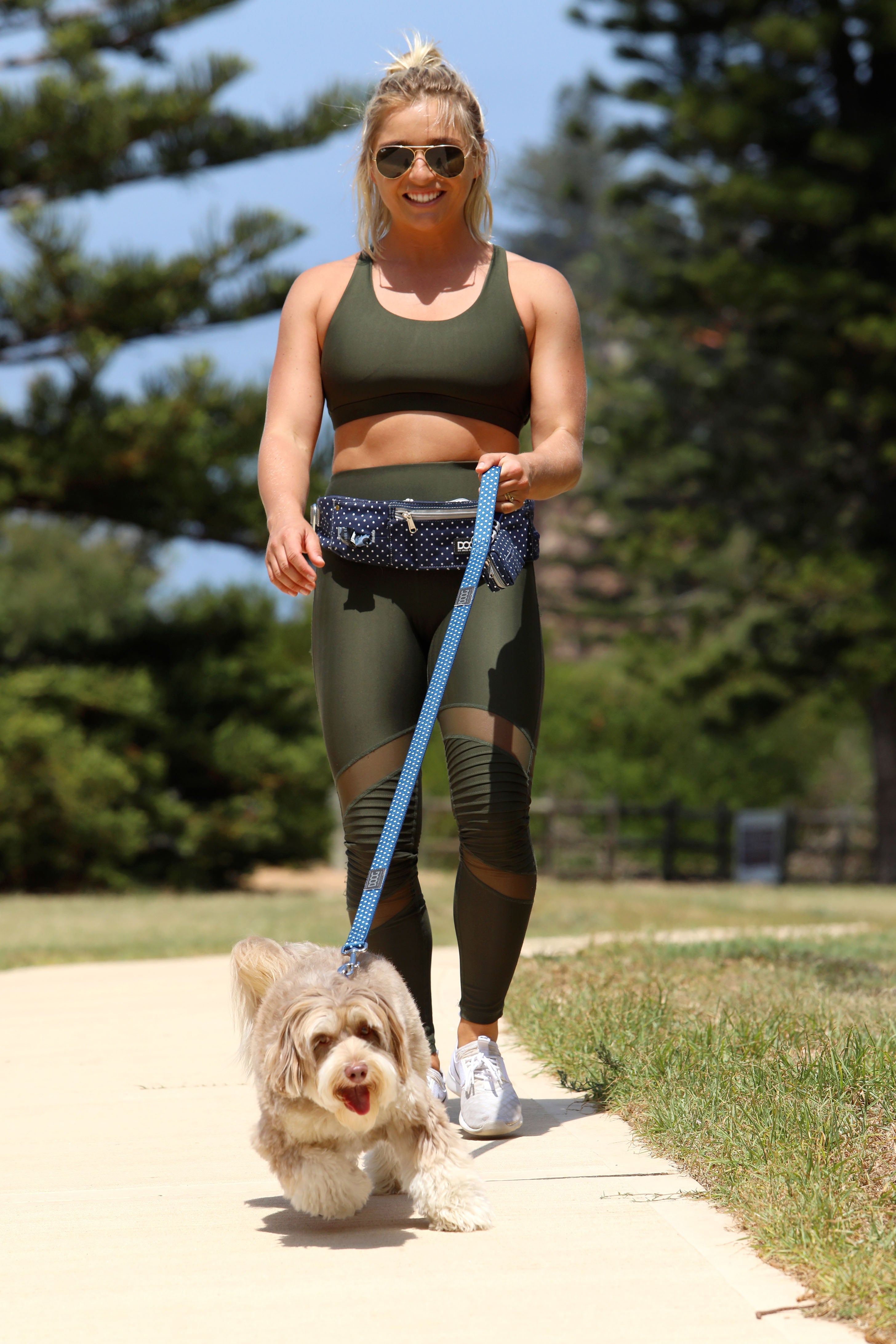How to Train Your Dog to Walk on a Leash?