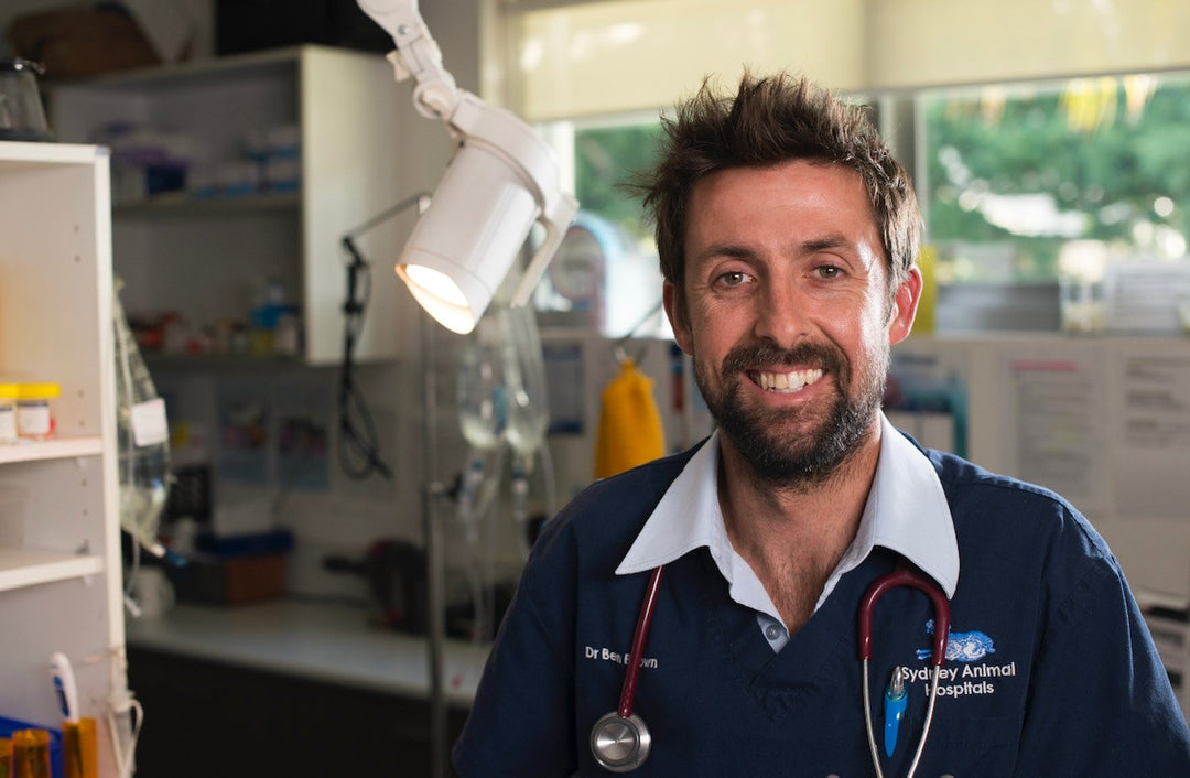 Winter Wellness - With Dr Ben Brown