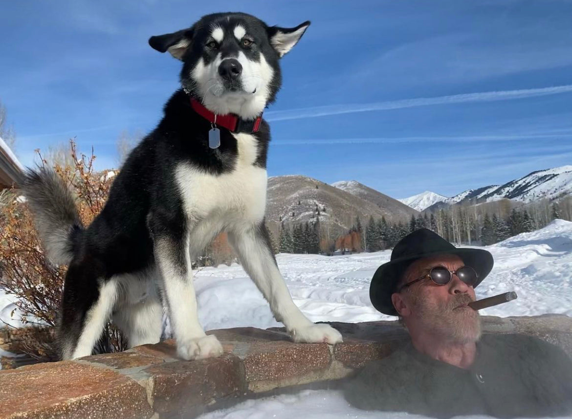 Our 5 Favourite Dog Dads On Instagram