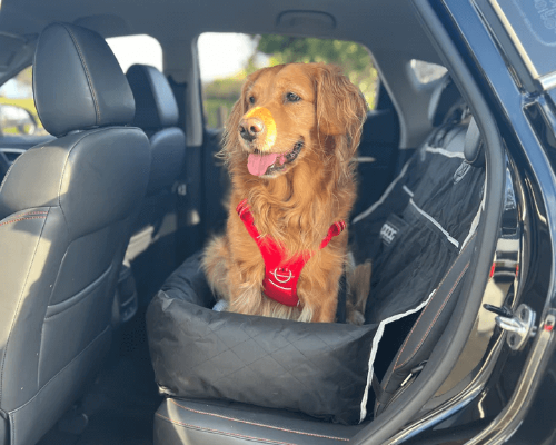 How to Install a Dog Car Seat?