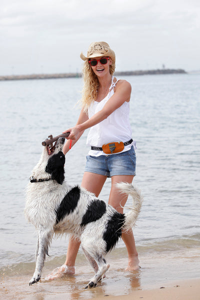 Fun ways to exercise at the dog beach