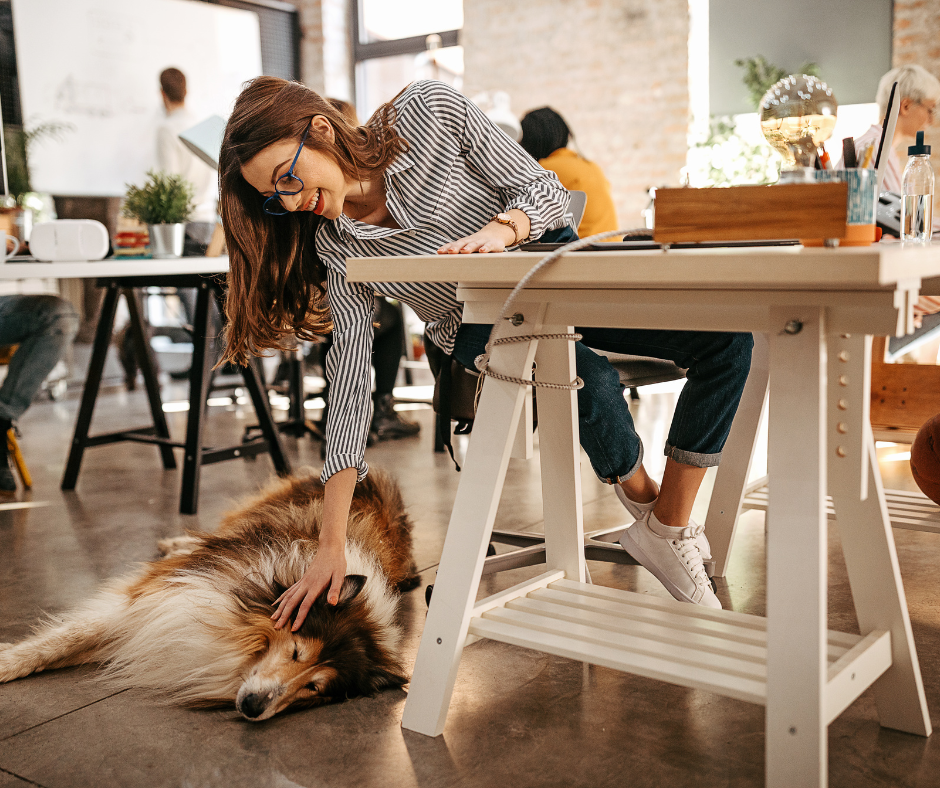 Five Tips on Office-Dog Etiquette