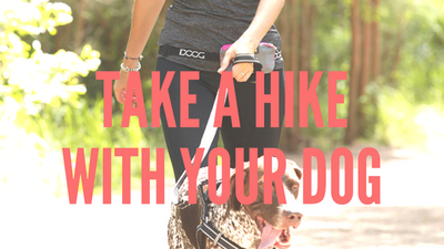 Take A Hike With Your Dog