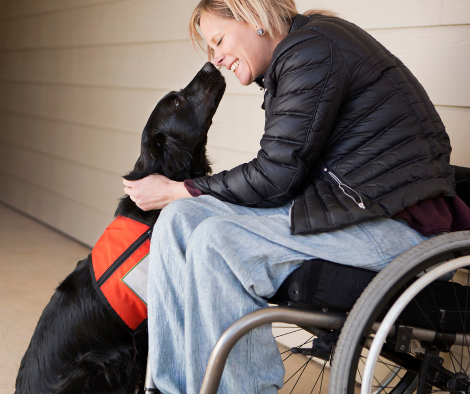 Happy Assistance Dog Week!