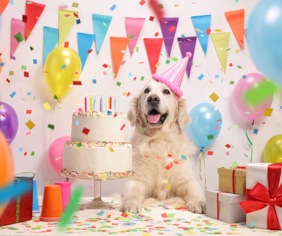 Happy 15th Birthday To Us