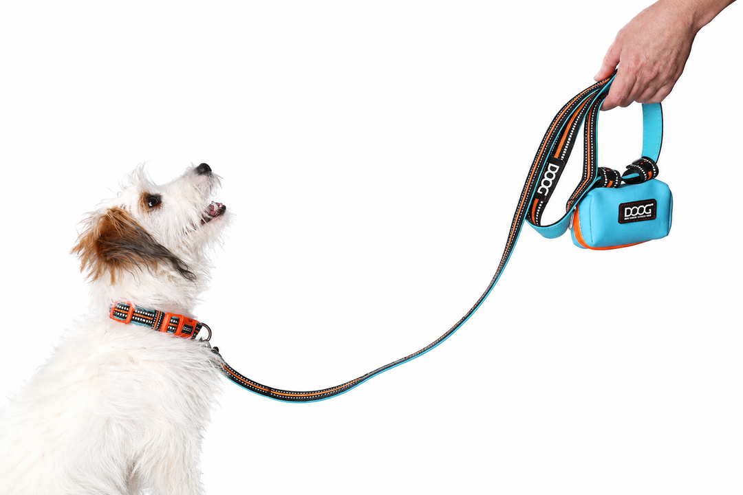 Walk Your Dog Week: The Ultimate Guide to Better Dog Walks