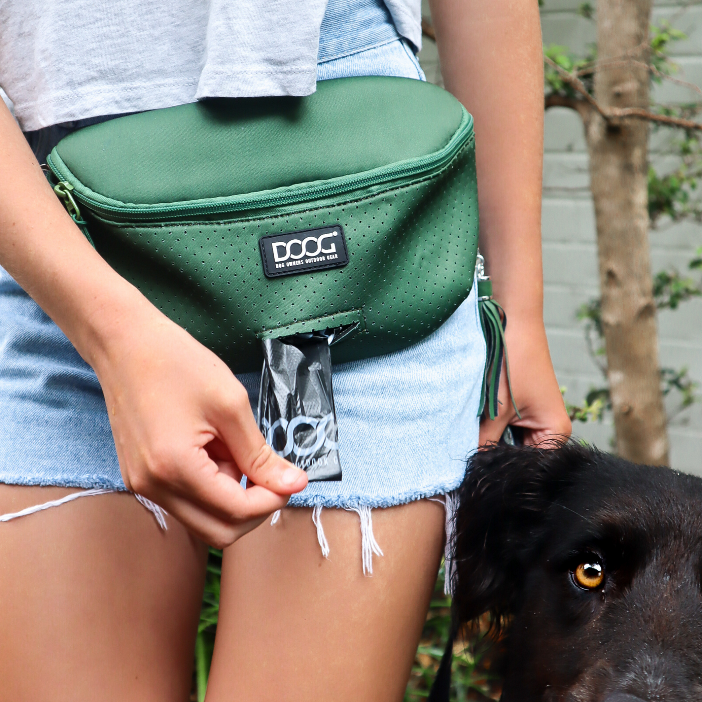 Dog owners outdoor gear best sale