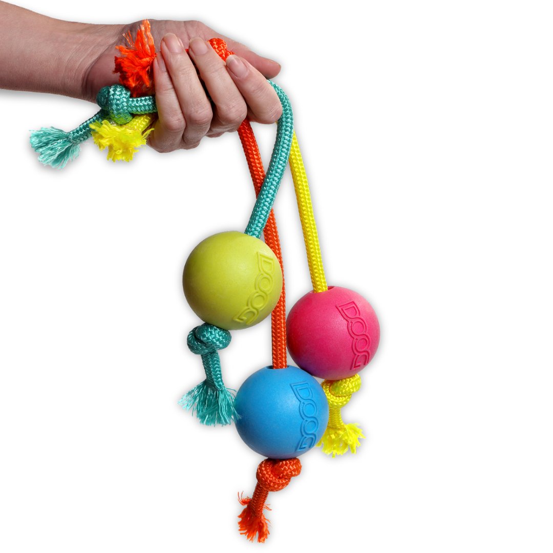 Dog Toys