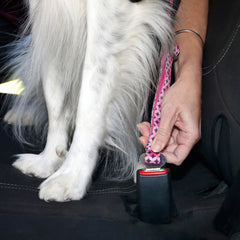 Choose your Car Restraints - Regular