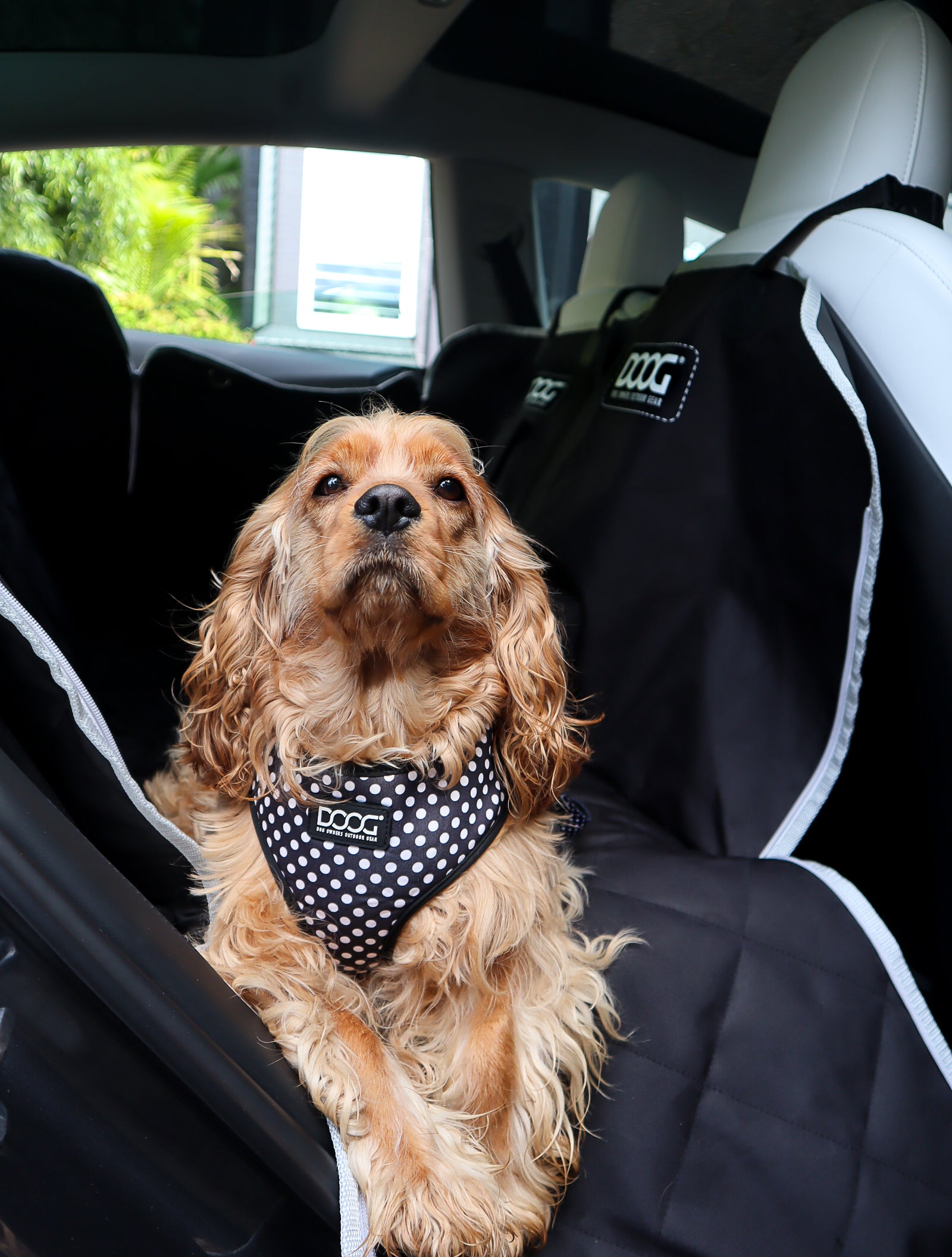 Car Seats & Covers – DOOG (Dog Owners Outdoor Gear)