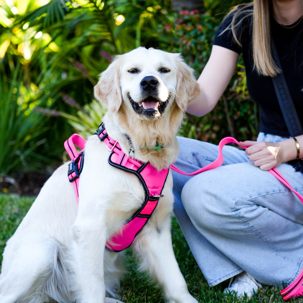 Neotech Harness - (Neon High Vis) Lady