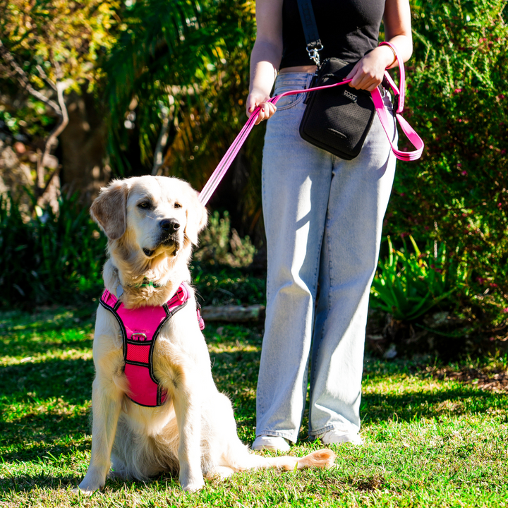 Neoprene Dog Lead - (Neon High Vis) Lady