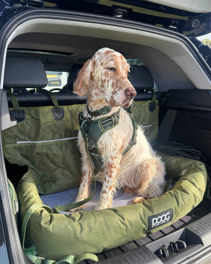 Dog Car Seat - Large
