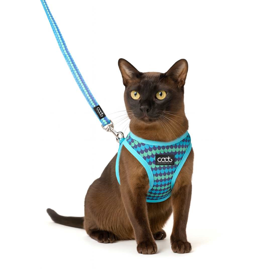 Cat Harness & Leash Combo