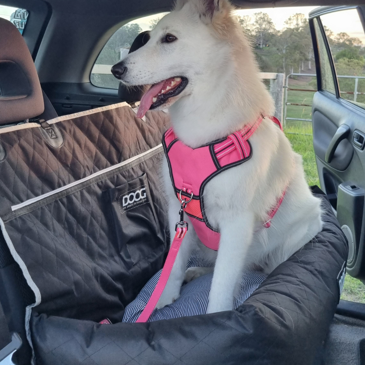 Large Car Seat  - BLACK