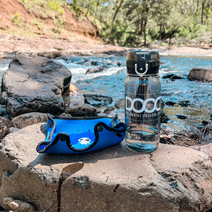 3 in 1 Water Bottle  / Bowl - Blue