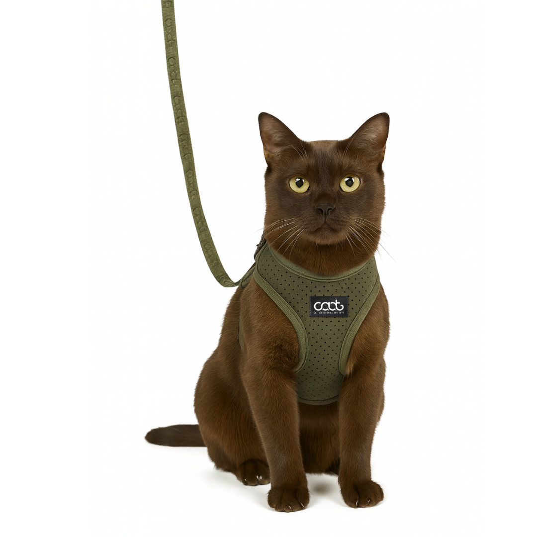 Cat Harness & Leash Combo