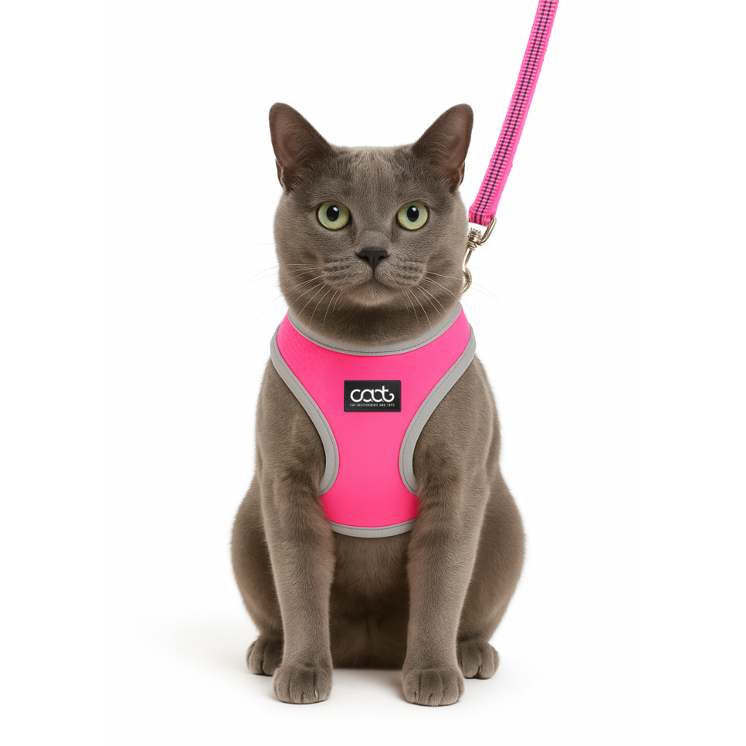 Cat Harness & Leash Combo