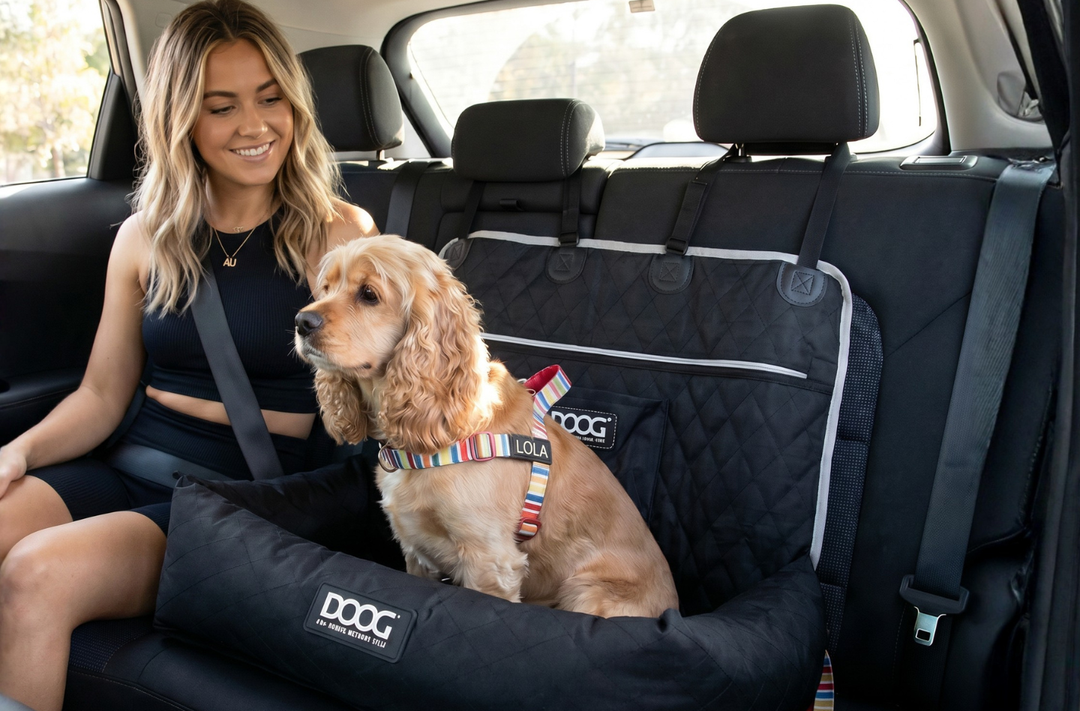 Dog Car Seat Medium