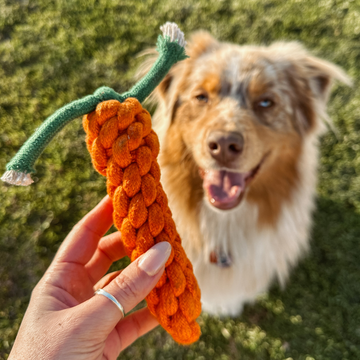 Rope Dog Toys