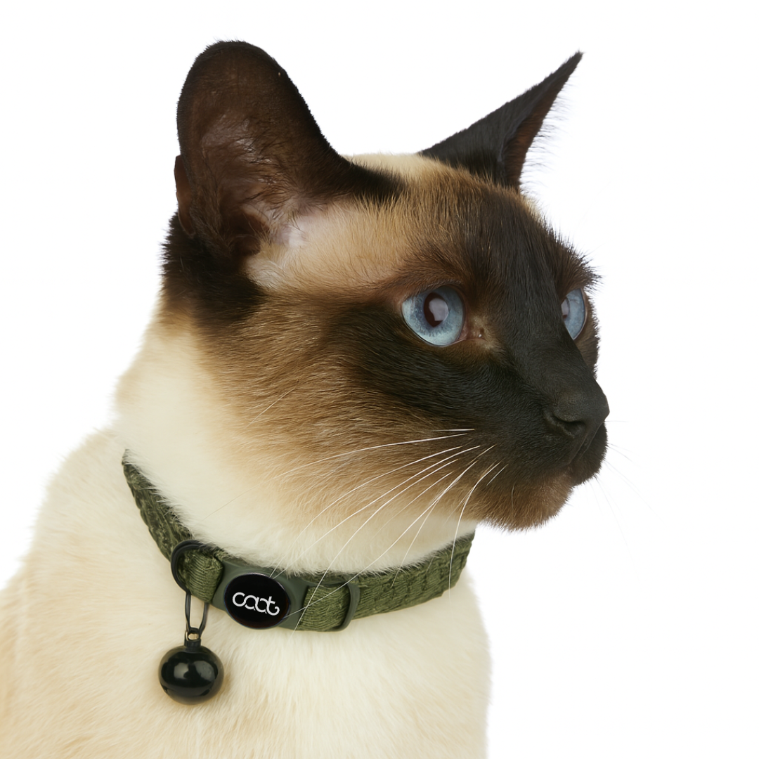 Quick-Release Cat Collar