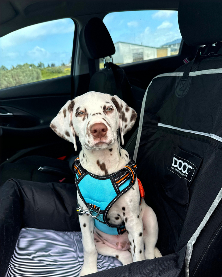 Neotech Harness