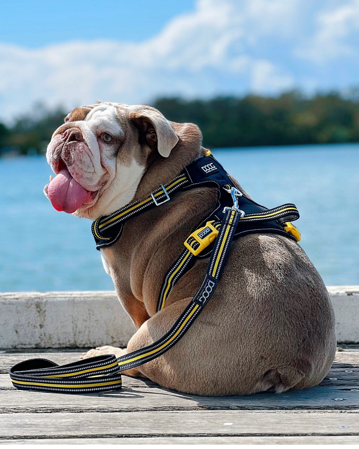 Neotech Harness