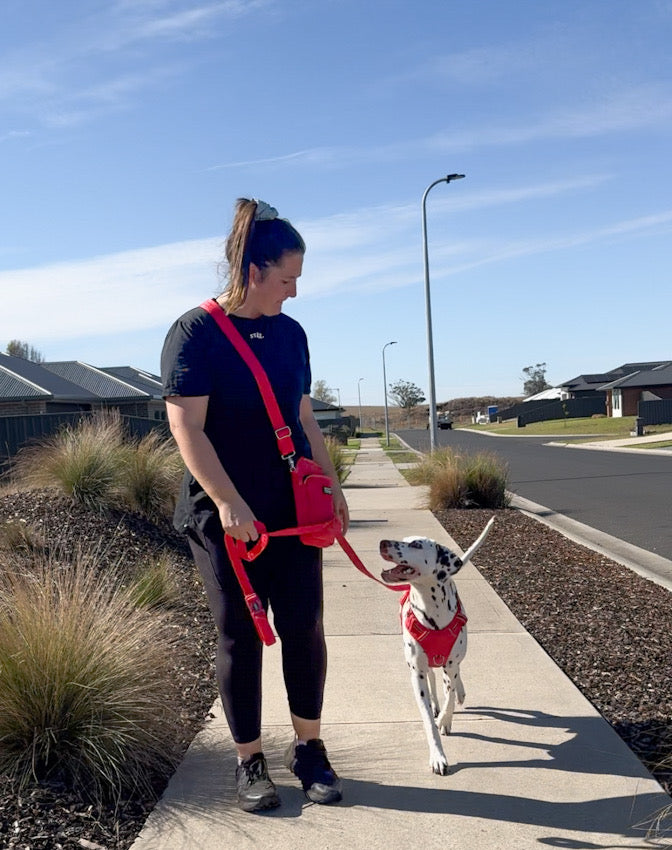 Neosport Walkie Bag