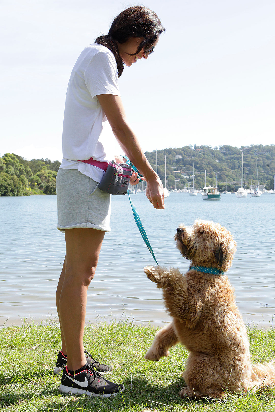 Clip-It Dog Leash