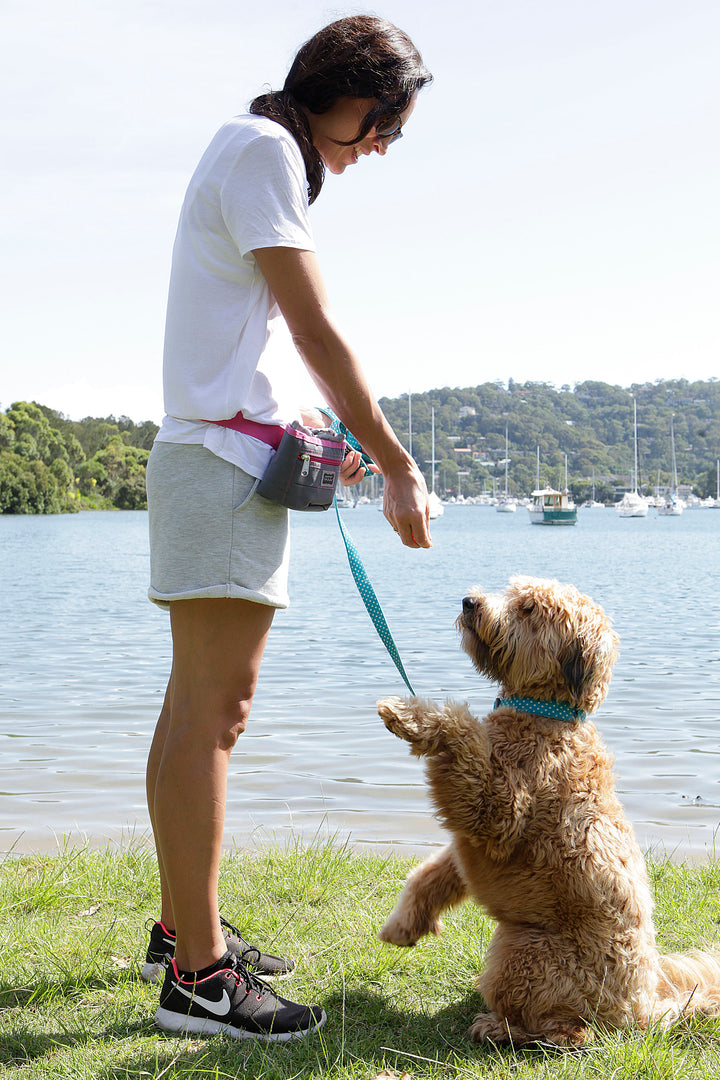 Clip-It Dog Leash