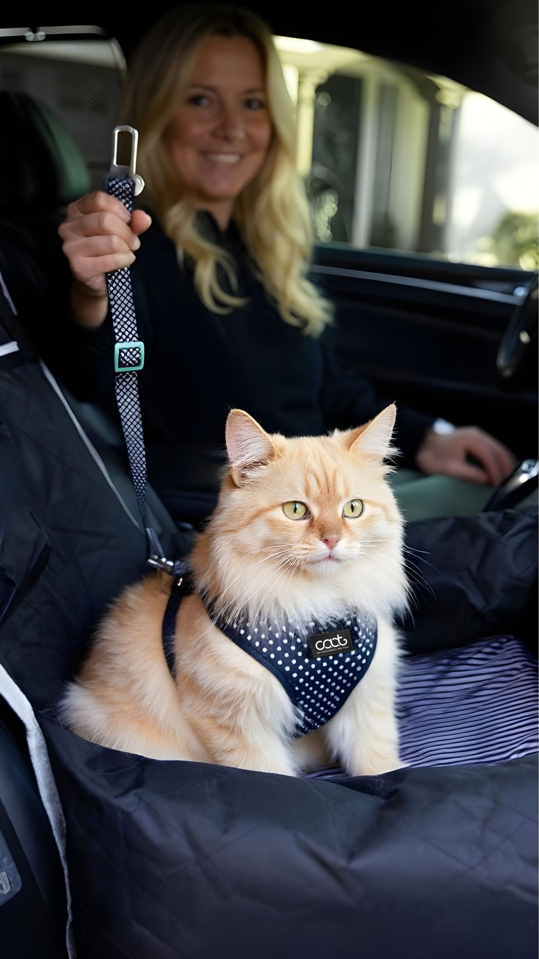 Cat Car Restraint