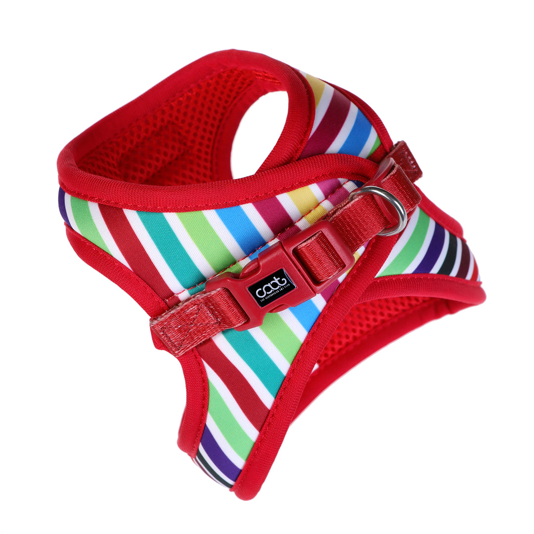 Cat Harness & Leash Combo