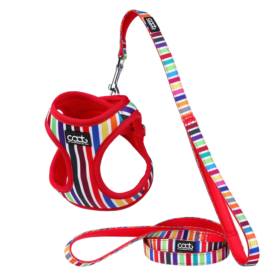 Cat Harness & Leash Combo