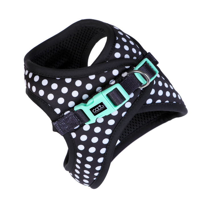 Cat Harness & Leash Combo