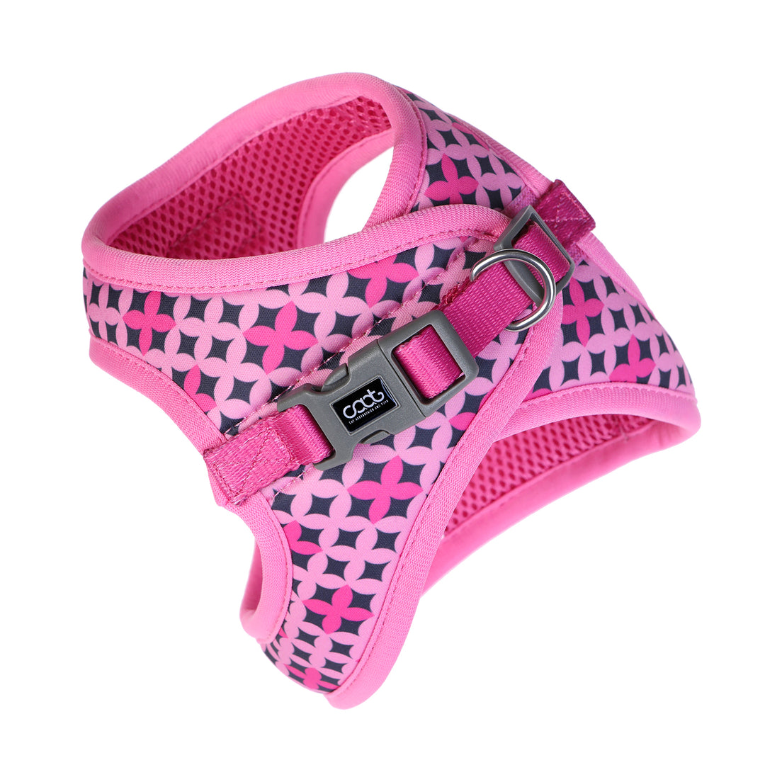 Cat Harness & Leash Combo