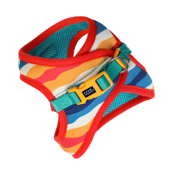 Cat Harness & Leash Combo