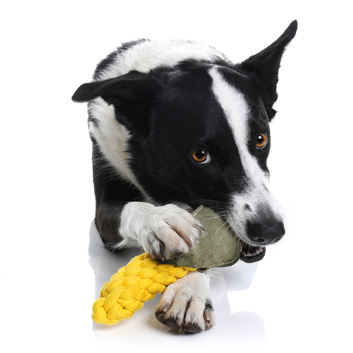 Rope Dog Toys