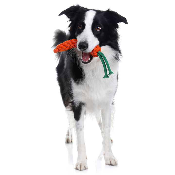 Rope Dog Toys