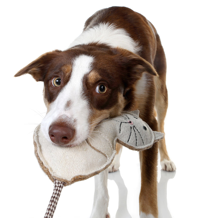 Country Tails Felt Animal Dog Toy
