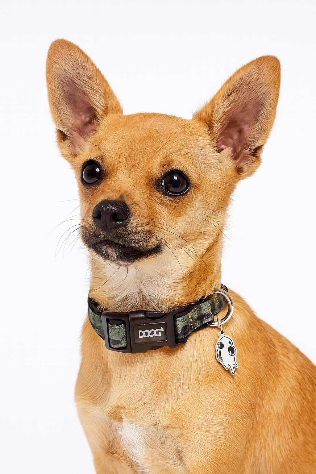 Neoprene Dog Collar